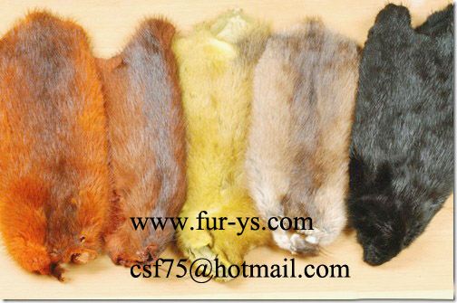1 Raccoon Tail Key Chain Crafts Fly Tying Beaver Pelt Fur Hide Rabbit Fox Lynx 