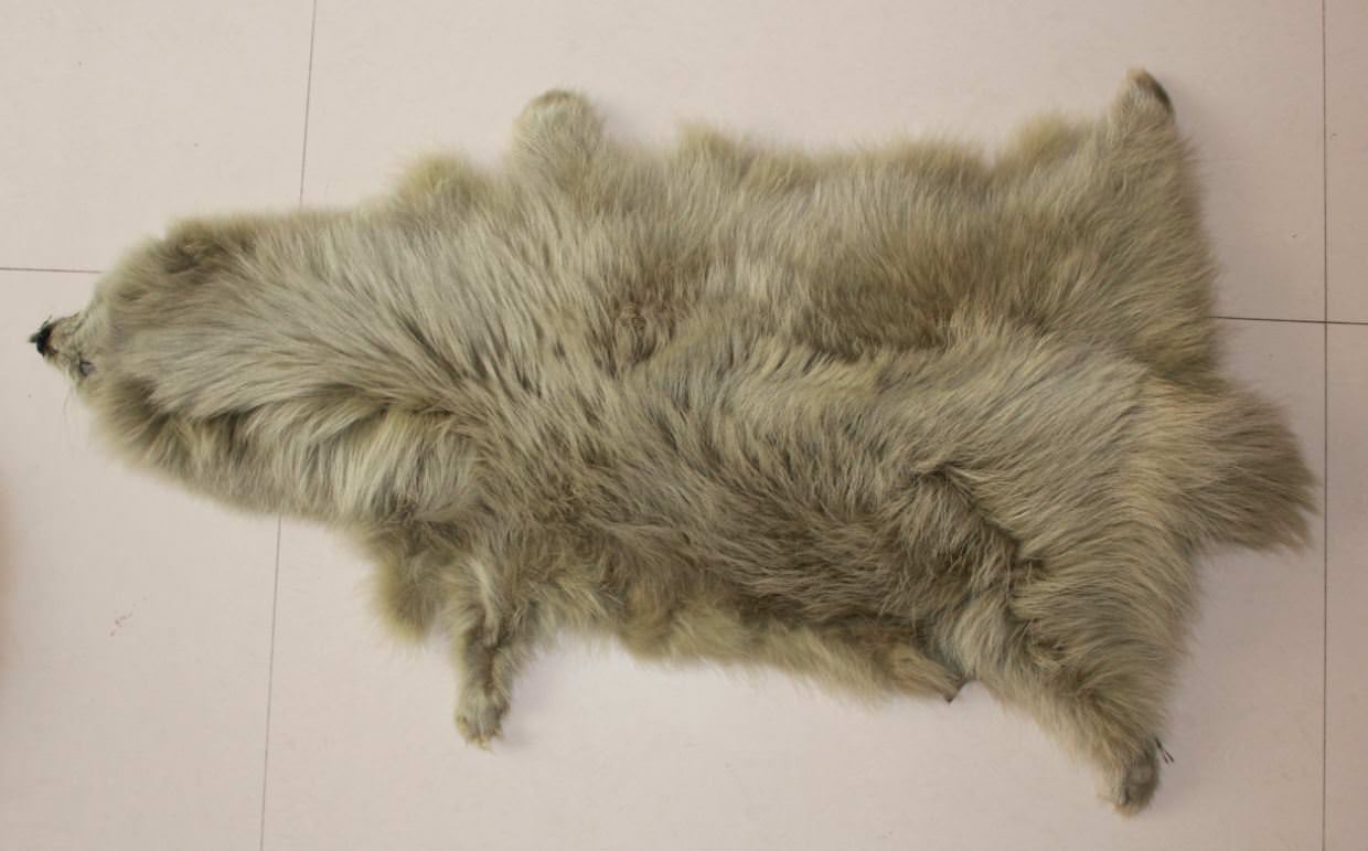 Raccoon skin----Dyed color Fly Tying Fur Finn Raccoon Zonker Strip & Tails